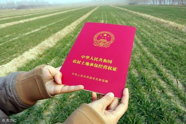 农民土地确权,如果农村老人去世以后,子女可以