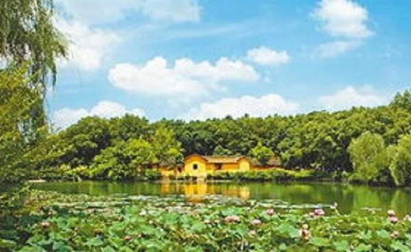 还把祖籍与籍贯混为一谈吗?两者是有不同