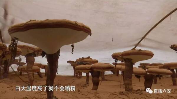 金寨视窗 | 横跨金寨的山湖旅游大道(六安段)全