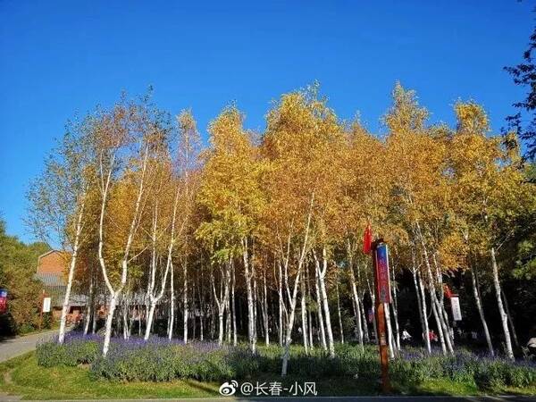 长春最新网红打卡处,水文化生态园引爆市民热情,有创意还免费!图片