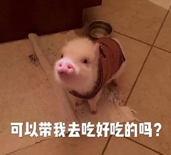 一波超可爱的卖萌撒娇表情包, 希望女朋友能跟这么我撒娇! .