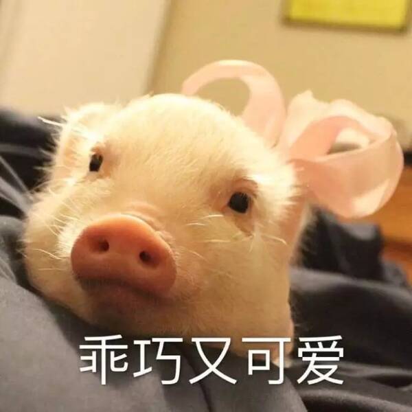 一波超可爱的卖萌撒娇表情包, 希望女朋友能跟这么我撒娇! .图片