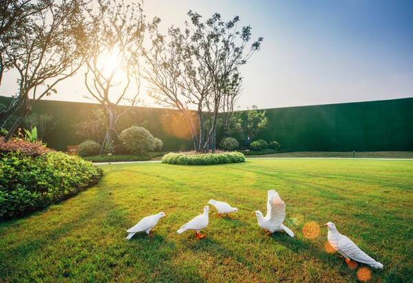 惊呆!总价100万出头,就能入住精装洋房?还是融