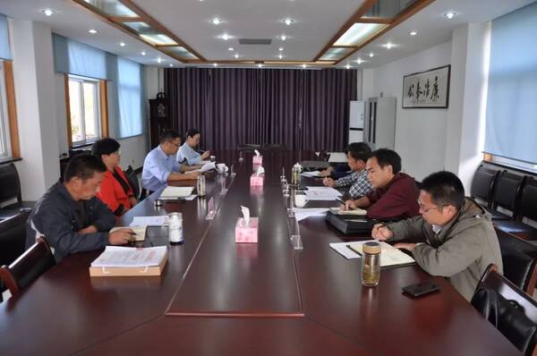 【扫黑除恶专栏】青阳县扫黑除恶专项斗争督查