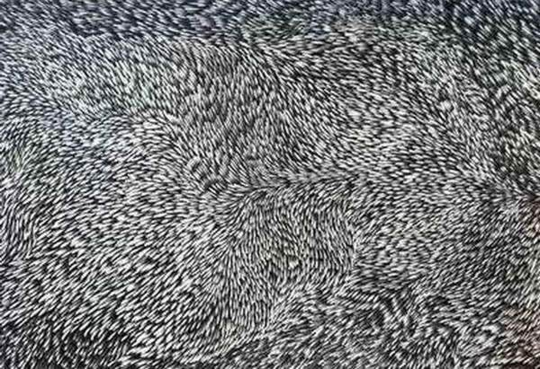 专治密集恐惧症的图片