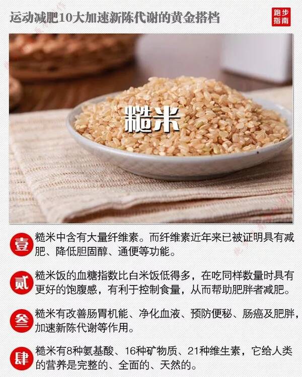 糙米含有大量的纤维素,纤维素具有降低胆固醇,改善肠胃机能,加速新陈