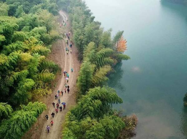 湖塘村人口_陆川清湖塘寨村(3)