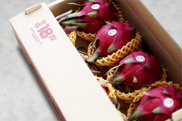 北纬十八度红心火龙果的故事