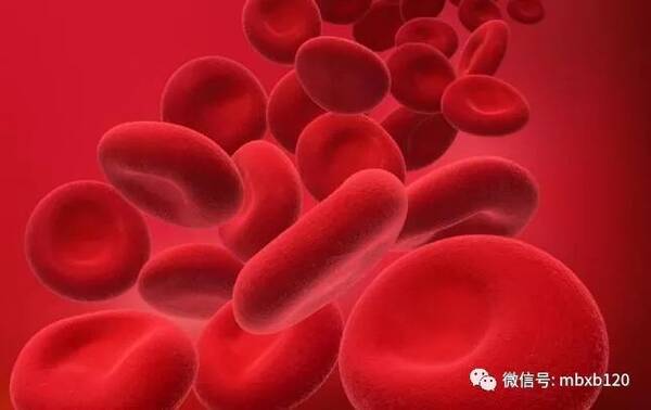 血常规有哪些异常表现,需警惕慢粒白血病?