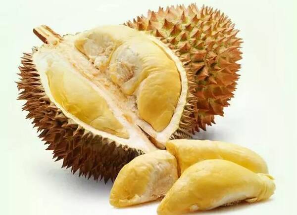 为什么有人闻榴莲觉得臭,有人却觉得香?榴莲究