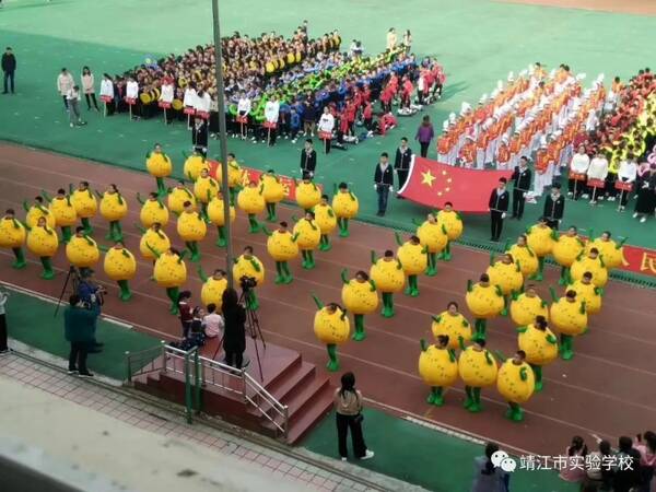【校园微信展】实验学校举行第十九届体育节暨