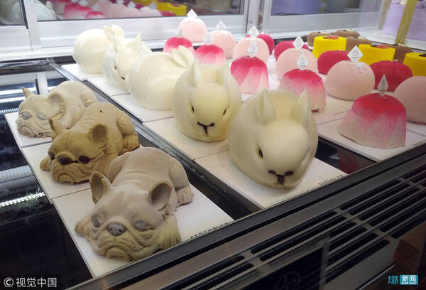 武汉:“网红”小奶狗蛋糕新鲜“出炉” 憨态惹人爱