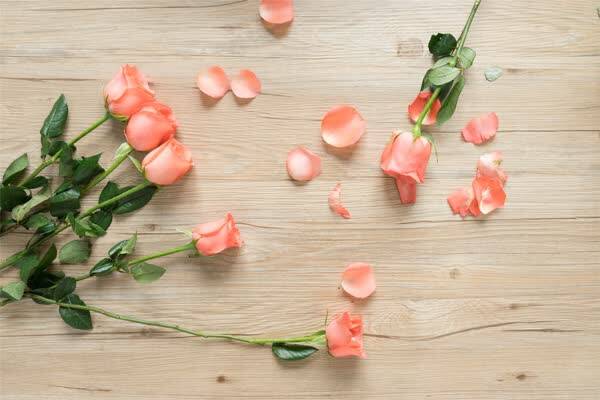 为什么聪明的女人,很少在微信上发自己的动态