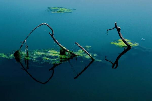 诗语少年丨《死水》(闻一多)