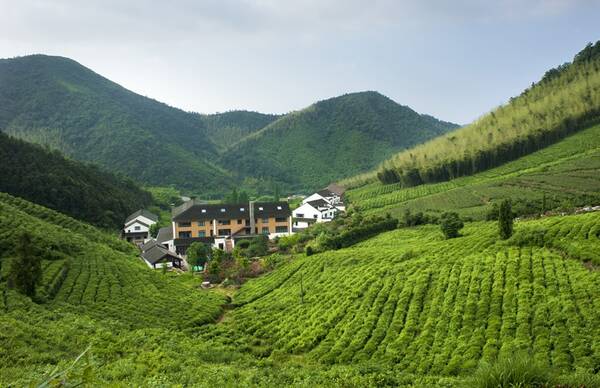 最清静的奢华 莫干山里法国山居