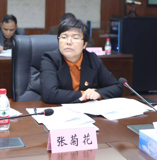 区委常委,组织部部长,区脱贫攻坚领导小组副组长张菊花就加强驻村第