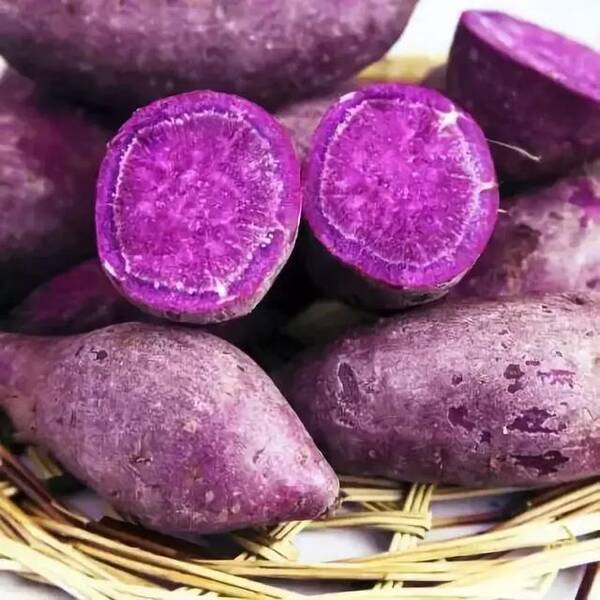紫薯，你知多少?