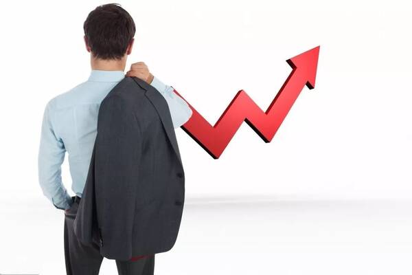 公司法人人格混同的结果要件