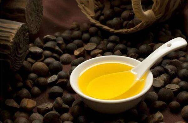 山茶油市场价100元斤,农民为何不大面积种植?
