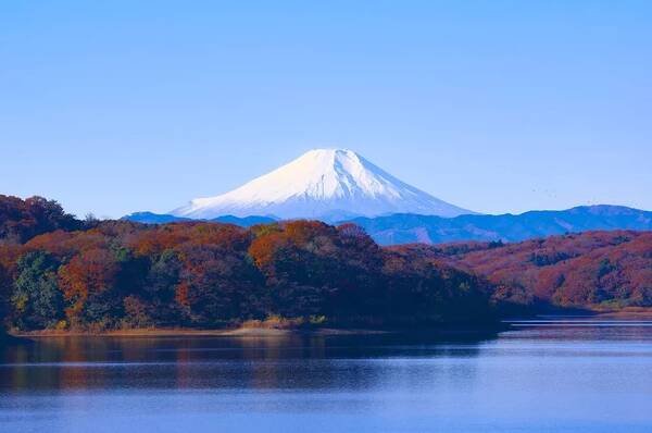 重磅!日本再放宽签证!去过2次就给3年、1243所