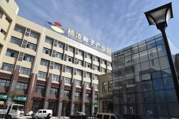 杨凌金种子,走向全世界…