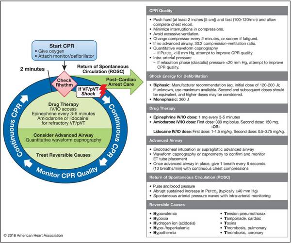 2018AHA心肺复苏指南发布,更新要点一览(附:
