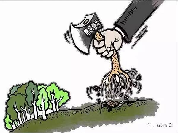 【扫黑除恶】建阳抓获九类涉恶案件犯罪嫌疑人