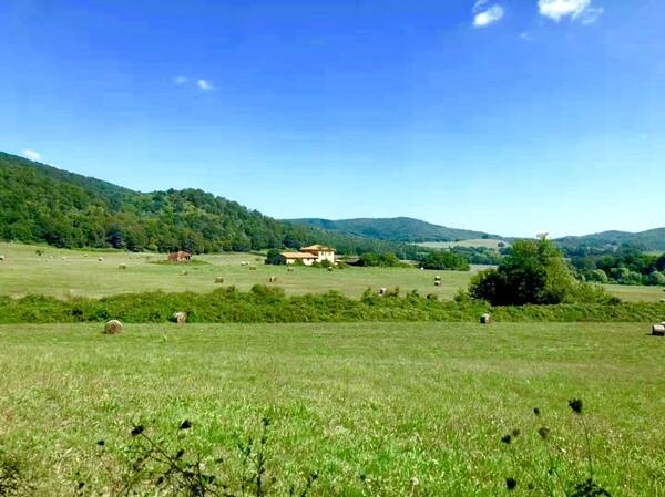 重庆天赐温泉集团1800万美元收购意大利维卡