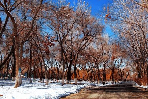 成语什么雪皑皑_有关雪的成语大全