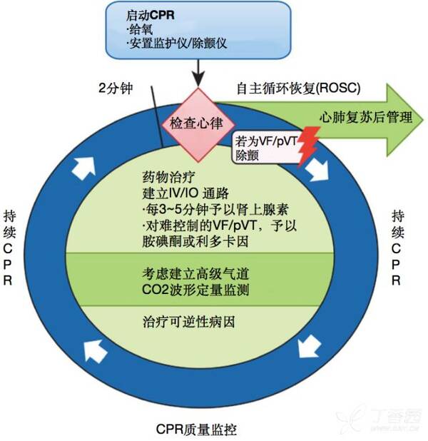 2018AHA 心肺复苏指南更新 | 要点速读