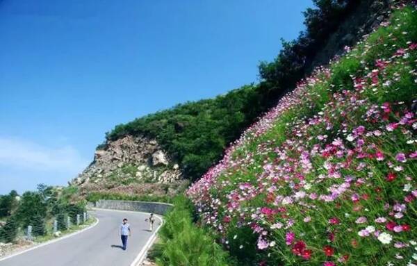 百花山风景区位于北京市房山区史家营乡莲花庵,距市区89公里,乘车走108国道经史家营可直达山顶,百花山的地文资源奇特,具有较高的科学价值和观赏度。 自驾路线:G4京港澳高速大件路出口出大件路河北镇方向坨里东庄子108国道复线贾峪口百花山。 以上文字仅做参考,公益行分享。 图片来源网络,版权归原作者所有 如有侵权, 删除。 微信搜索:leyoubjy 更多景点等你发现! 本文来自大风号,仅代表大风号自媒体观点。
