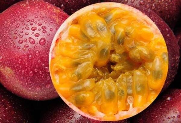 百香果种子怎么种图片