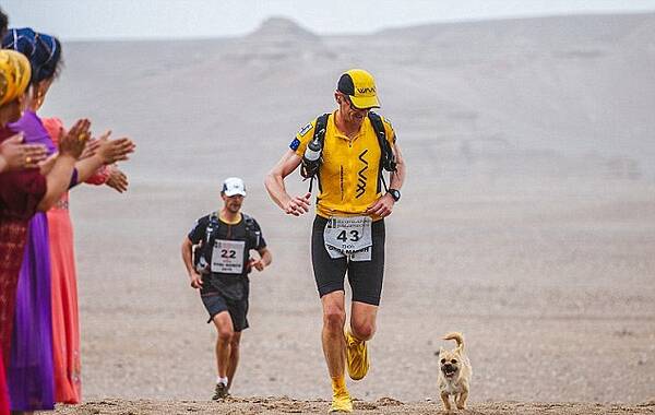 据央视新闻报道，在新疆一次7天戈壁荒漠马拉松赛中，一只流浪小狗一直跟随英国小伙儿迪恩·莱昂纳多奔跑，他和它产生深厚