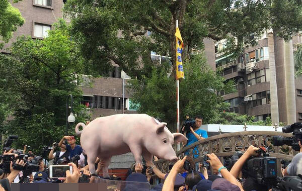 5月31日，台湾“立法院”场外今天有养猪户（台湾称猪农）抗议群众聚集，抗议政府有意开放含莱克多巴胺美国猪肉进口，本来是在场外抗议发表意见，但上午约9时50分时，群众突然挤向“立法院”青岛侧门，欲冲入占领“立法院”，与警方发生推挤。