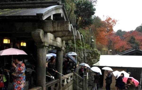 网曝中国 游客跳进日本名泉 接水 网友:素质都没