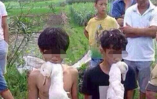 8月25日，广西宜州市庆远镇六坡村两名约14岁的少年偷鸭子被抓后，村民们没有报警，而是对两少年进行了体罚。他们首先强迫两人用嘴咬住鸭子颈脖，跪在路边示众，一位村民觉得这样还不够泄气，又把两只鸭子的脚绑起来，加挂在两人的颈脖上，变成了每人“挂着”三只鸭子跪在路边。图为事发现场，两名少年叼鸭下跪。