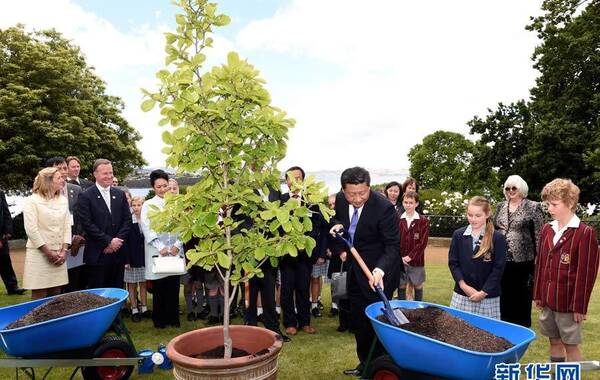 11月18日，国家主席习近平在澳大利亚塔斯马尼亚州与朗塞斯顿市斯科奇－欧克伯恩小学的小学生共同植树。