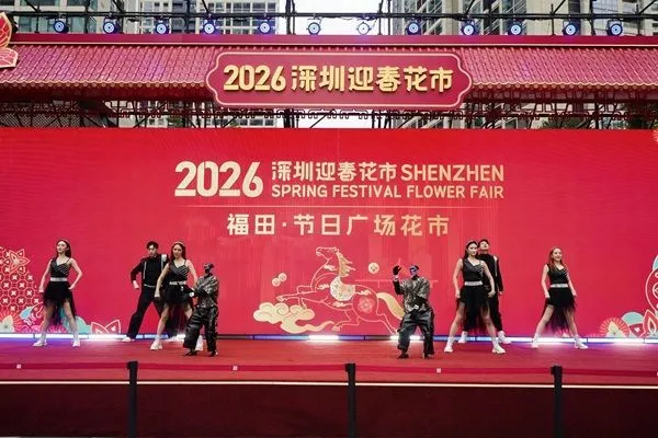 非遗赋能,文旅融合!深圳节日大道“非遗贺新春,大道中国年”系列文化活动新春亮相插图9