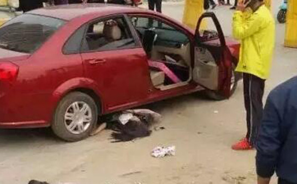 国家级贫困县每年扣公职人员工资植树 3年130