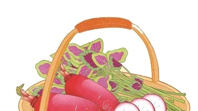 冬日健康补给站 解锁萝卜的隐藏吃法