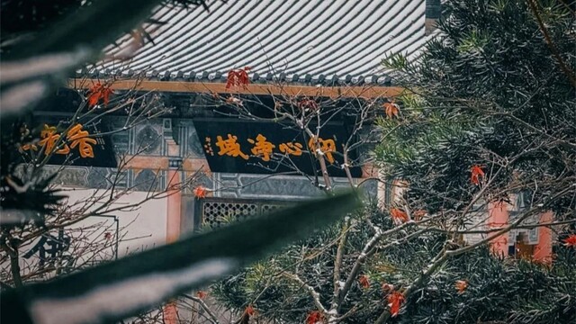 厦门云游寺院摄影展丨“三楚第一山”四季之美，愿你皆能感受