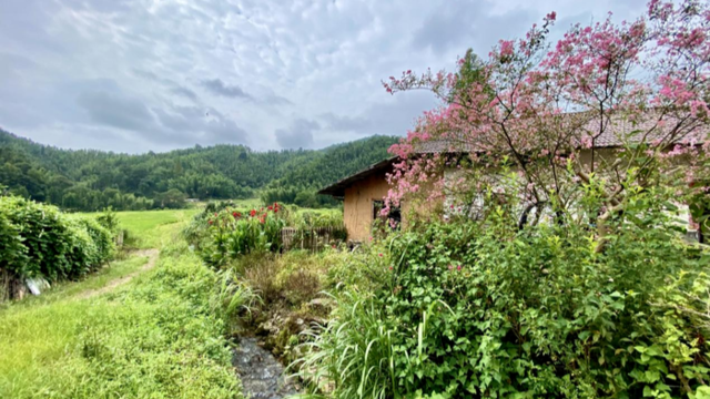 但能無心，便是究竟——走進江西宜豐黃檗山 | 走進黃檗