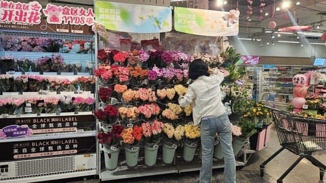 母親節(jié)臨近 鮮花走俏