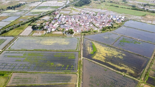 蝦田農忙
