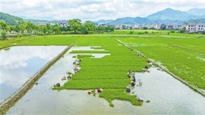 搶抓農(nóng)時(shí)