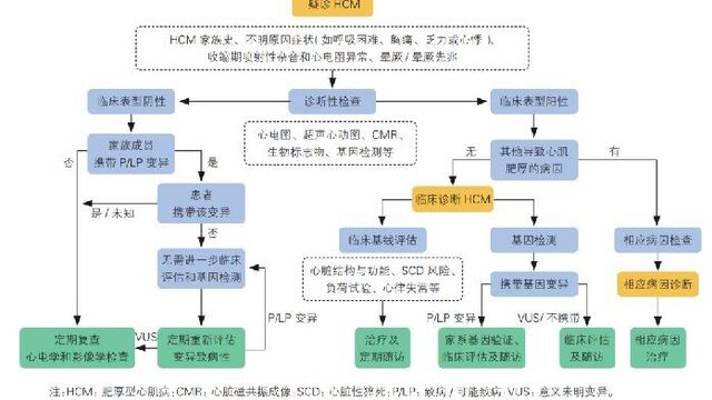 最新版《中国心肌病综合管理指南》发布