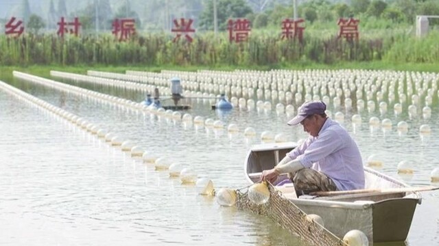 精耕“水上田”