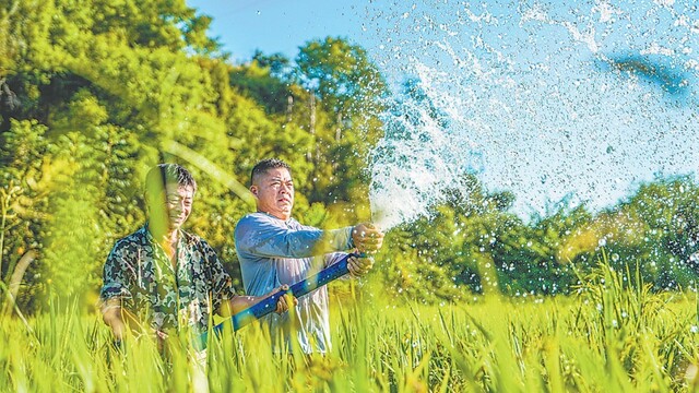 抽水抗旱保豐收