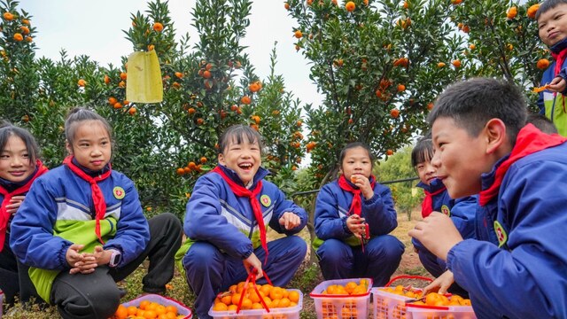 劳动课堂 悦享丰收