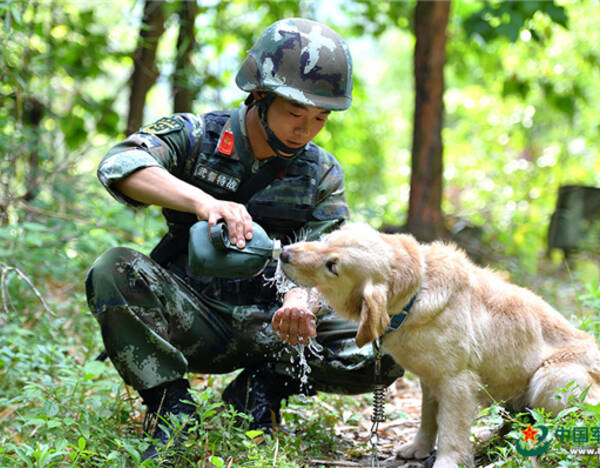 6月9日,由于天气炎热,训练间隙,训犬员王伟拿出自己的水壶,给警犬"